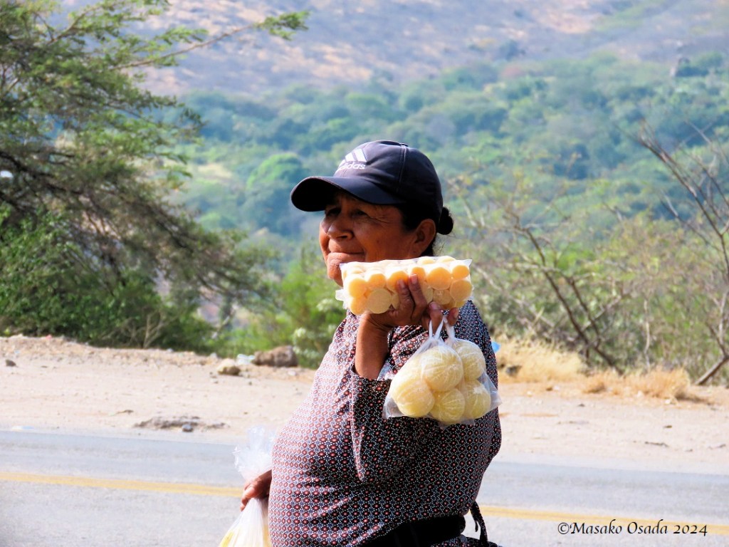 Woman selling fruits at Pomahuaca Toll Gate. On the way to Chiclayo